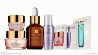 苏州进口护手霜报关行供应商与上海食品进口报关公司 洗涤用品进口的完整指南